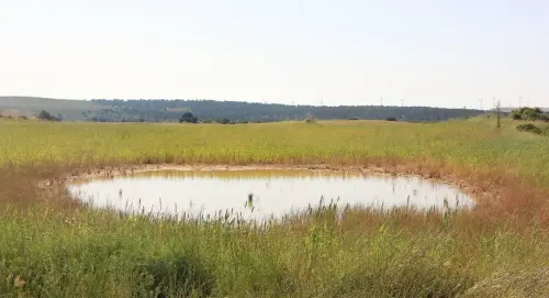 Navajos-Corral-Rubio