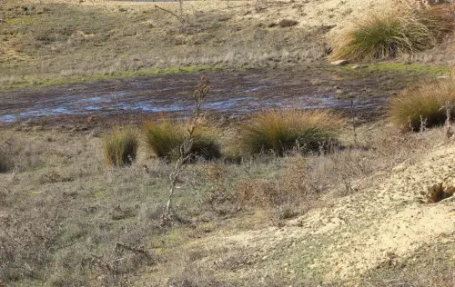 Navajos-De-la-Estacion-Pozo-Canada2