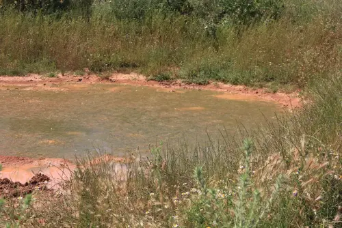 Navajos-Fuentealamo2