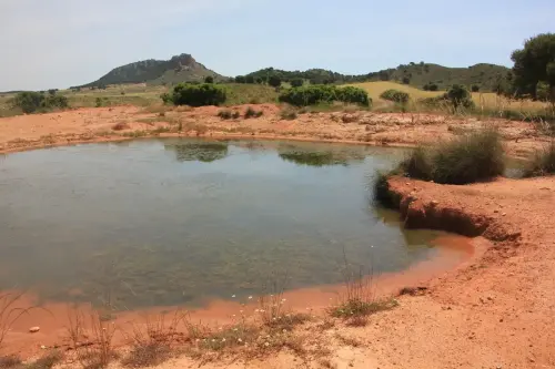 Navajos-Fuentealamo4
