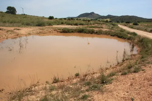 Navajos-Fuentealamo5