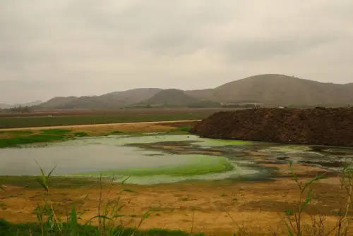 Navajos-Hellin-Nava-de-don-Justo