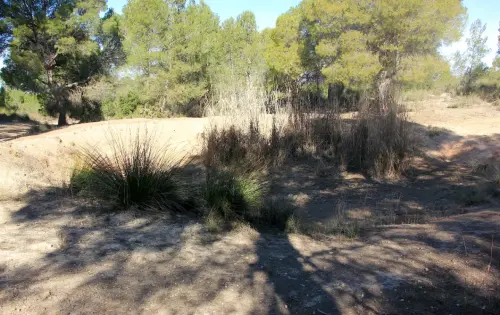 Navajos-Hellin-Vistahermosa