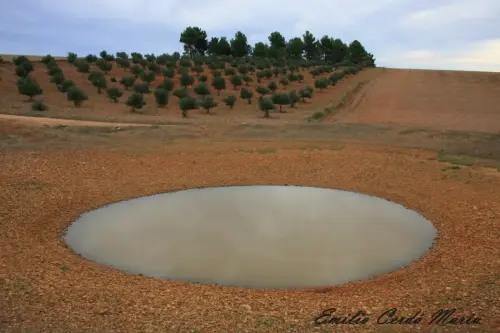 Navajos-La-Jara-Alcadozo