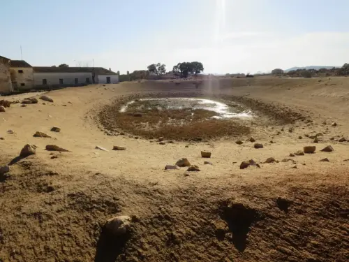 Navajos-Mizquitillas-Chinchilla