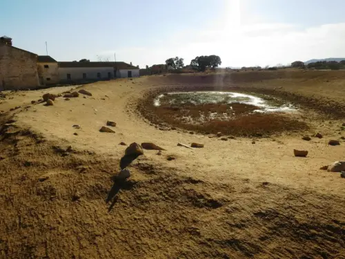 Navajos-Mizquitillas-Chinchilla2