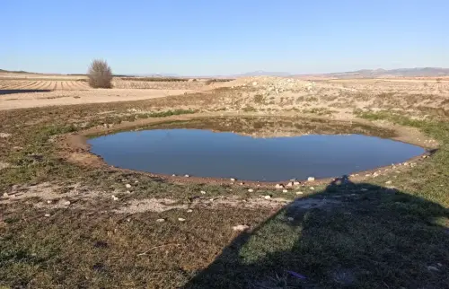 Navajos-Montealegre-del-Castillo