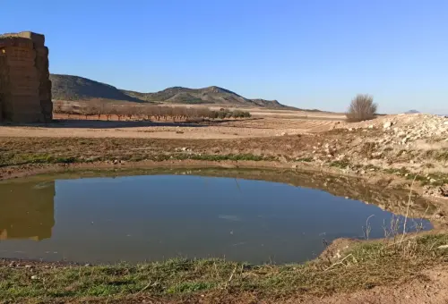 Navajos-Montealegre-del-Castillo2