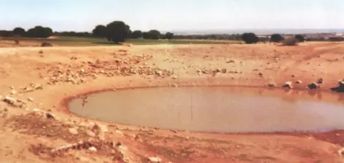 Navajos-Montejanos-Munera