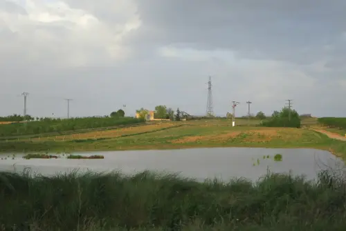 Navajos-Nava-de-Abajo-Pozohondo3