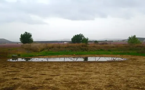 Navajos-Nava-de-don-Justo-Hellin