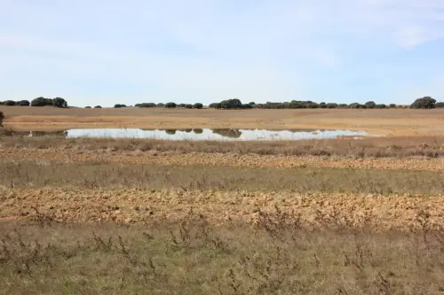 Navajos-Villora-Chinchilla