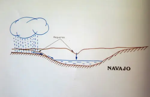 Navajos-lavajo-Grafico