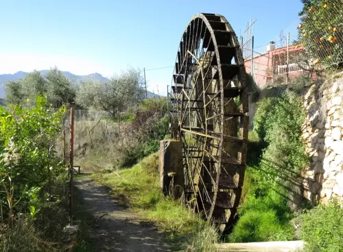 Rueda-Abaran-Murcia5