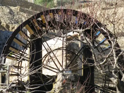 Rueda-Abaran-Murcia6