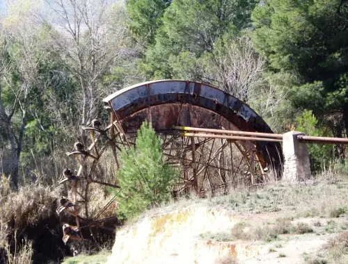 Rueda-Tedelche-Hellin6