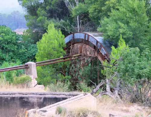 Rueda-Tedelche-Hellin7