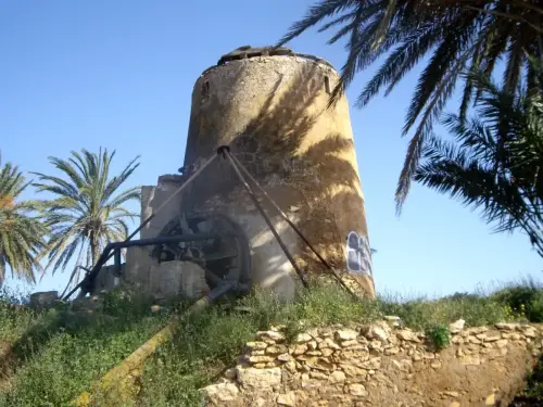 Noria-Mar-Menor-Murcia