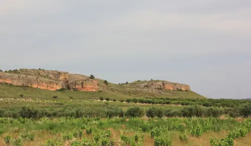 6-Campos-de-Hellin-Albatana03