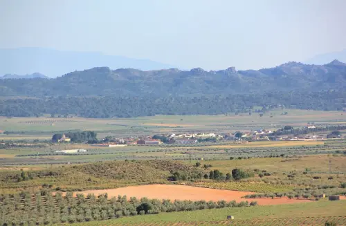 6-Campos-de-Hellin-Albatana04-Desde-El-Madrono