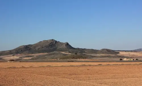 6-Campos-de-Hellin-Fuentealamo01-El-Mainetico