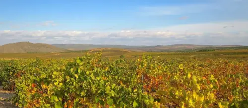 6-Campos-de-Hellin-Fuentealamo06