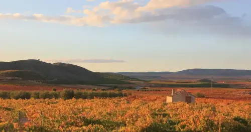 6-Campos-de-Hellin-Fuentealamo08