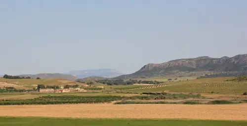 6-Campos-de-Hellin-Fuentealamo09-Casas-de-La-Pena