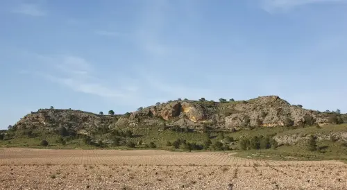 6-Campos-de-Hellin-Hellin03-El-Acebuchar