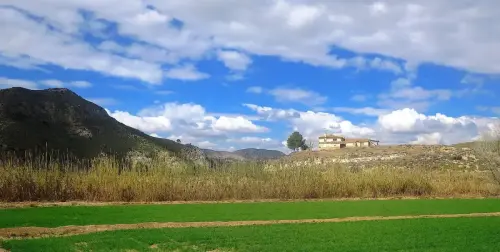 6-Campos-de-Hellin-Hellin04-Juntas-Segura-Mundo