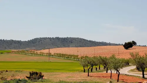 6-Campos-de-Hellin-Hellin05-La-Garganta-Cangilon