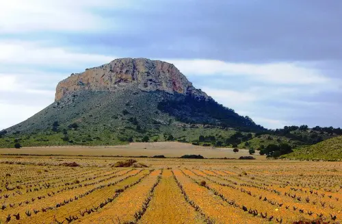 6-Campos-de-Hellin-Hellin06-La-Hermana