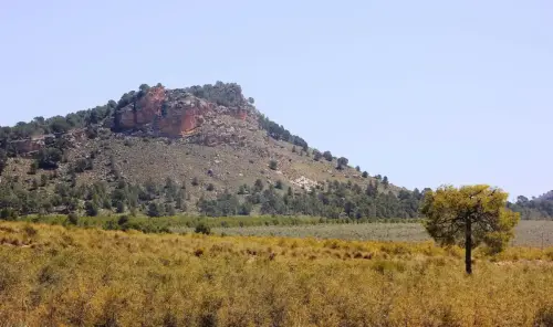 6-Campos-de-Hellin-Hellin07-La-Muela-de-Penarrubia