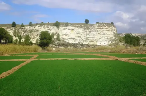 6-Campos-de-Hellin-Hellin08-Las-Minas