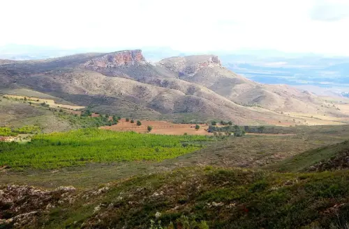 6-Campos-de-Hellin-Hellin14-Pena-Lavada