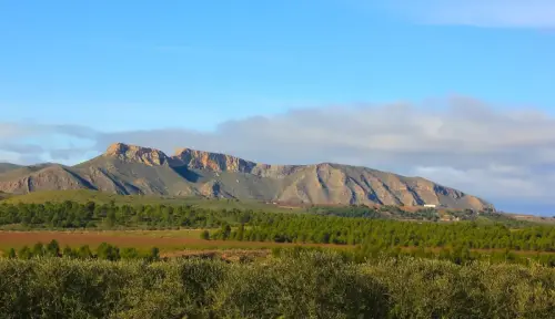 6-Campos-de-Hellin-Hellin15-Pena-Lavada