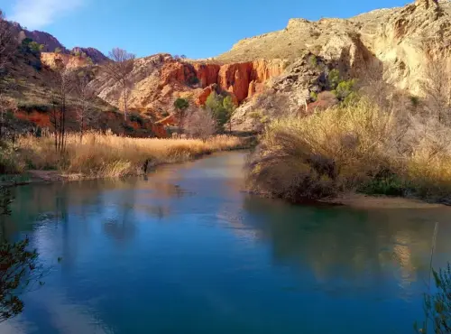 6-Campos-de-Hellin-Hellin20-Rio-Segura