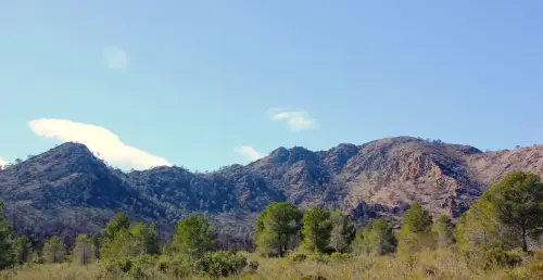 6-Campos-de-Hellin-Hellin21-Sierra-de-Los-Donceles