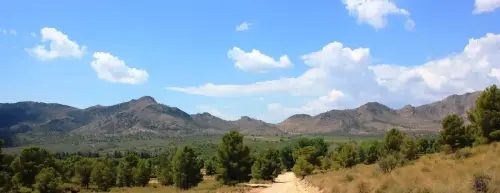 6-Campos-de-Hellin-Hellin22-Sierra-de-Los-Donceles