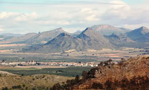 6-Campos-de-Hellin-Hellin32-Agramon