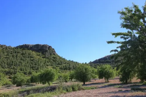 6-Campos-de-Hellin-Ontur03-Morron-de-La-Florida