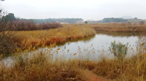 6-Campos-de-Hellin-Tobarra02-Laguna-de-Alboraj