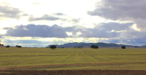 6-Campos-de-Hellin-Tobarra03