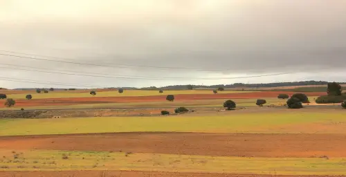 6-Campos-de-Hellin-Tobarra06