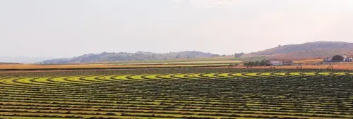 6-Campos-de-Hellin-Tobarra07