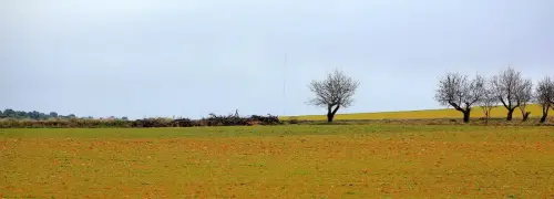 6-Campos-de-Hellin-Tobarra08