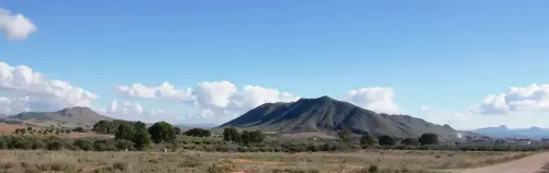 6-Campos-de-Hellin-Tobarra10