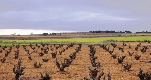 2.1-La-Manchuela-Cenizate01