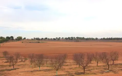 2.1-La-Manchuela-Cenizate02