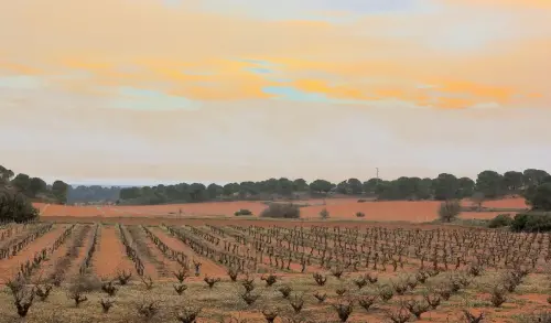 2.1-La-Manchuela-Cenizate03